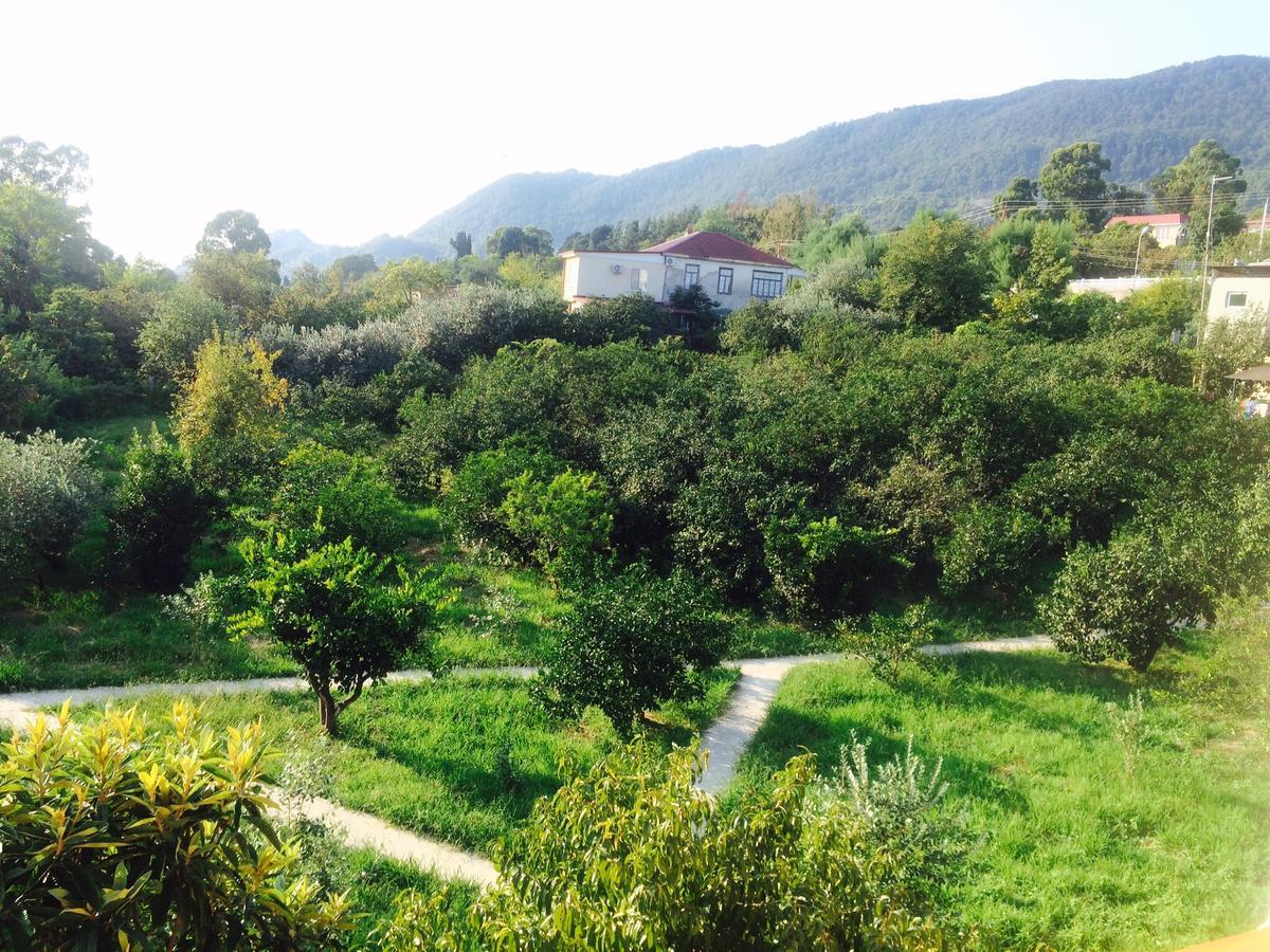 Gostievoi Dom Meri New Athos Εξωτερικό φωτογραφία